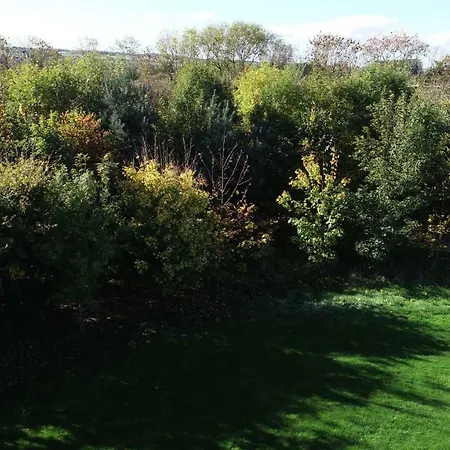 The Meadows Holiday park
